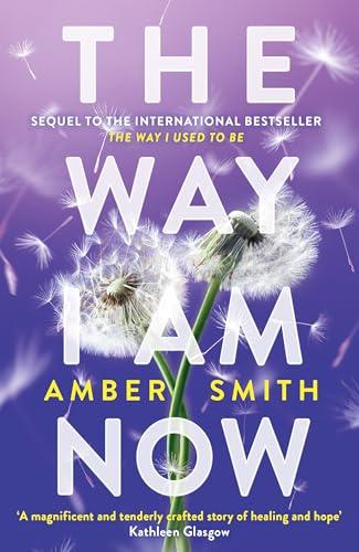 The Way I Am Now: Amber Smith (The Way I Used to Be)