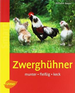 Zwerghühner: Munter - fleißig - keck