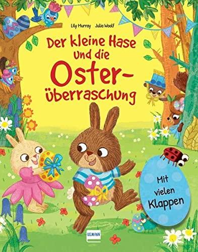 Der kleine Hase und die Osterüberraschung: Eine Osterhasengeschichte mit vielen Klappen zum Schauen und Entdecken für Kinder ab 3 Jahren