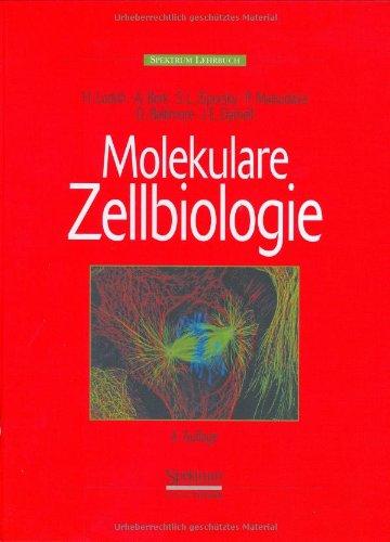 Molekulare Zellbiologie