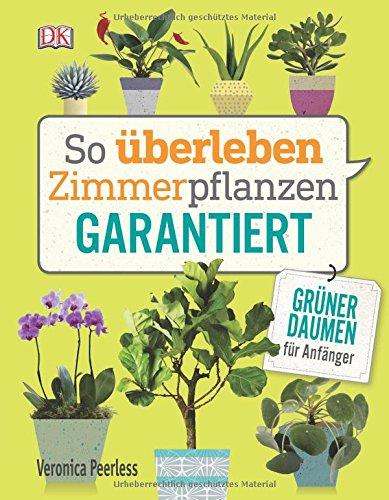 So überleben Zimmerpflanzen garantiert: Grüner Daumen für Anfänger