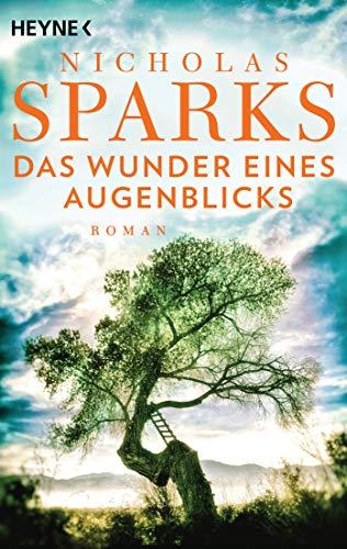 Das Wunder eines Augenblicks: Roman