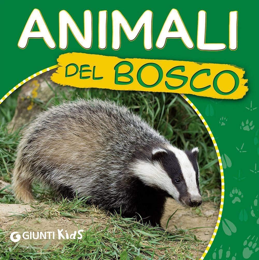 Animali del bosco. Ecco gli animali