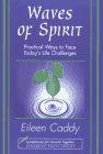 Waves of Spirit: Practical Ways to Face Today's Life Challenges: Practical Ways of Facing Today's Life Challenges