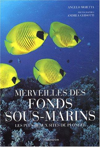 Merveilles des fonds sous-marins : les plus beaux sites de plongée