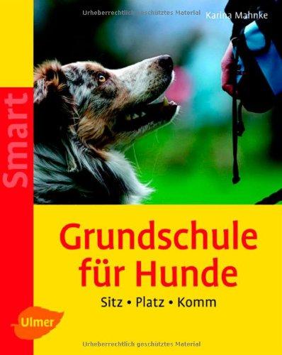 Grundschule für Hunde: Sitz - Platz - Komm