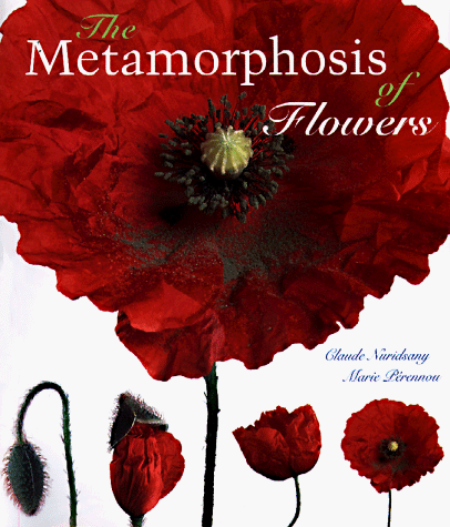 The Metamorphosis of Flowers