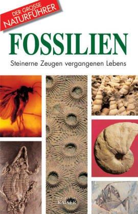 Fossilien: Steinerne Zeugen vergangenen Lebens