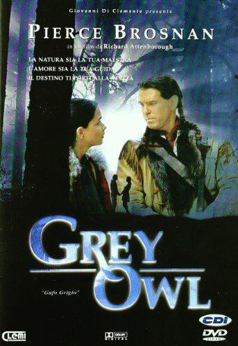 Grey Owl. Gufo Grigio [IT Import]