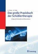 Das grosse Praxisbuch der Schüsslertherapie. Erfolgreich behandeln mit Mineralsalzen