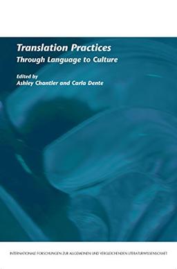 Translation Practices: Through Language to Culture (Internationale Forschungen Zur Allgemeinen Und Vergleichenden Literaturwissenschaft, 122, Band 122)