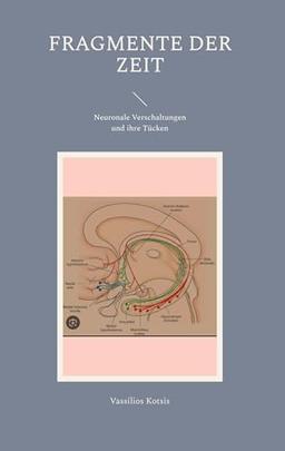 Fragmente der Zeit: Neuronale Verschaltungen und ihre Tücken