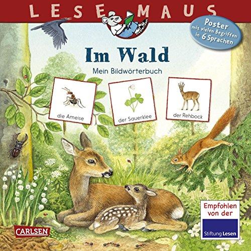 LESEMAUS 201: Im Wald: Mein Bildwörterbuch