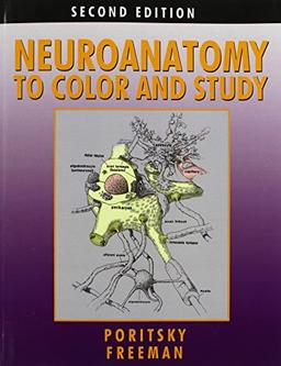 Neuroanatomy to Color and Study