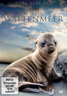 Das Leben im Wattenmeer