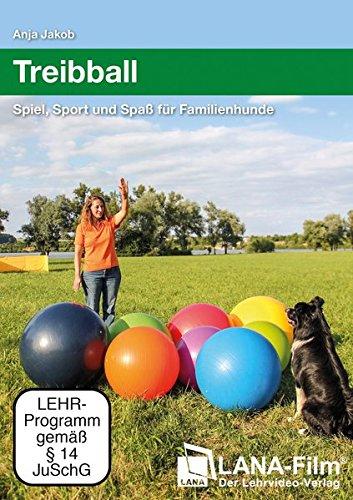 Treibball: Spiel, Sport und Spaß für Familienhunde