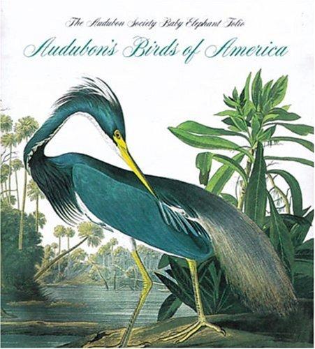 Audubon's Birds of America (Tiny Folios)