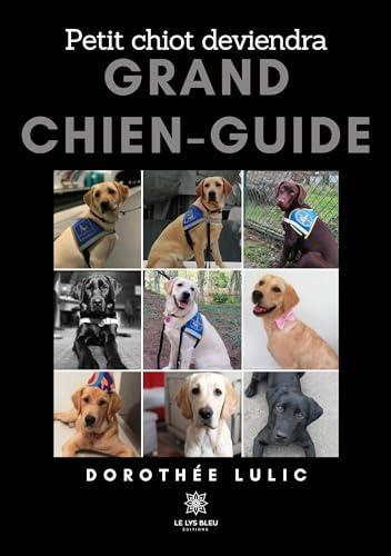 Petit chiot deviendra grand chien-guide