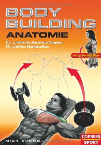 Bodybuilding Anatomie