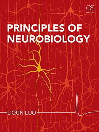 Principles of Neurobiology