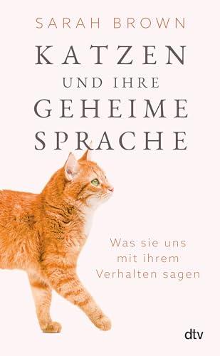 Katzen und ihre geheime Sprache: Was sie uns mit ihrem Verhalten sagen