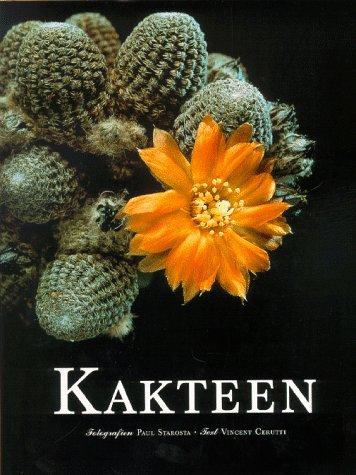 Kakteen