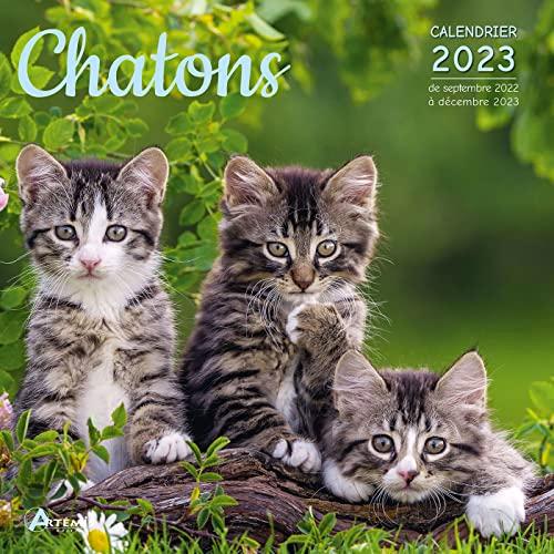 Chatons : calendrier 2023 : de septembre 2022 à décembre 2023