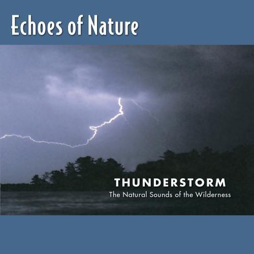 Echoes of Nature: Thunderstorm