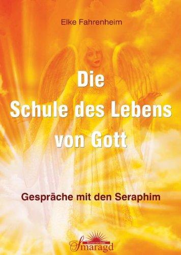 Die Schule des Lebens von Gott: Gespräche mit den Seraphim