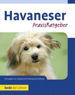 Havaneser: PraxisRatgeber