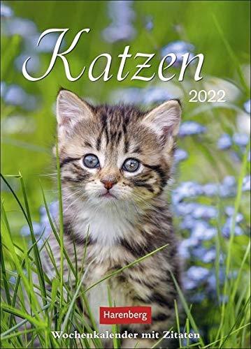 Katzen Wochenkalender 2022 - Wandkalender mit Zitaten - Planer mit Platz für Termine und Notizen - 54 Seiten - 16,5 x 23 cm: Wochenkalender mit Zitaten