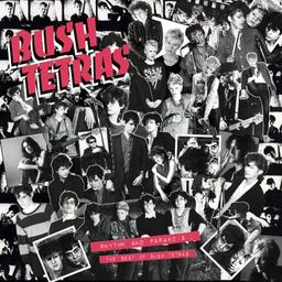 Rhythm and Paranoia: the Best of Bush Tetras [Vinyl LP]