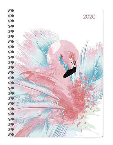 Ladytimer Ringbuch Flamingo 2020 - Taschenplaner - Taschenkalender A5 - Schülerkalender - Weekly - Ringbindung - 128 Seiten - Terminplaner