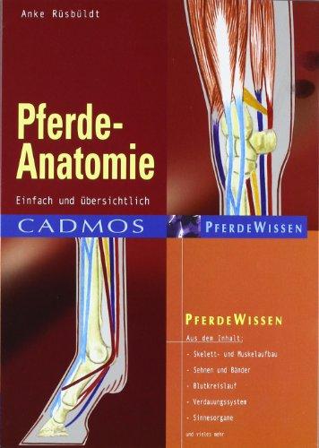 Pferde-Anatomie: Einfach und übersichtlich