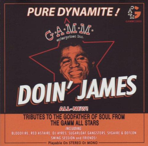 Doin' James-Tributes to the Godfather of Soul