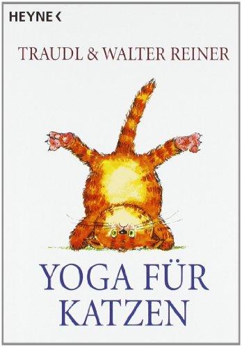 Yoga für Katzen