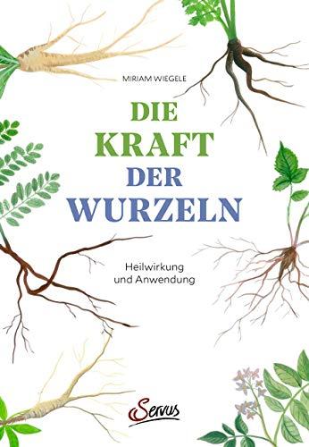 Die Kraft der Wurzeln: Heilwirkung und Anwendung