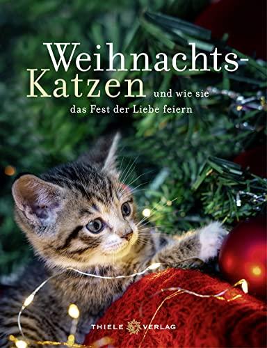 Weihnachtskatzen Geschenkbuch