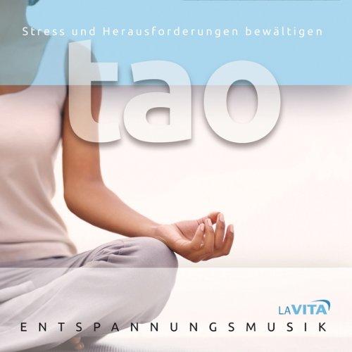 Tao-Stress und Herausforderungen Bewältigen