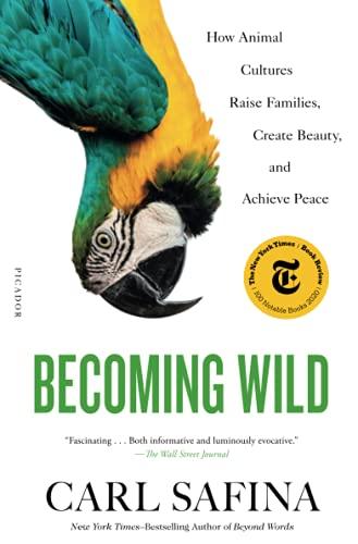 Becoming Wild: How Animal Cultures Raise Families, Create Beauty, and Achieve Peace