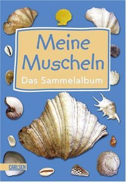 Meine Muscheln: Muschelsammelbox mit 2 Sachbüchern und 6 echten Muscheln