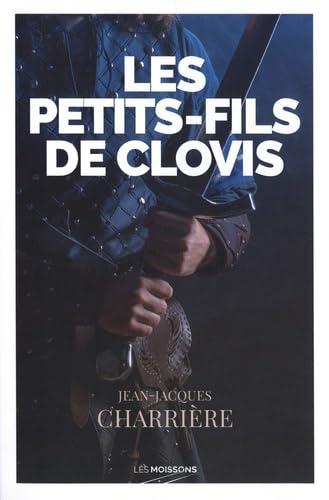 Le sang des Francs. Vol. 3. Les petits-fils de Clovis : roman historique