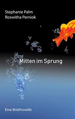 Mitten im Sprung: Eine Briefnovelle