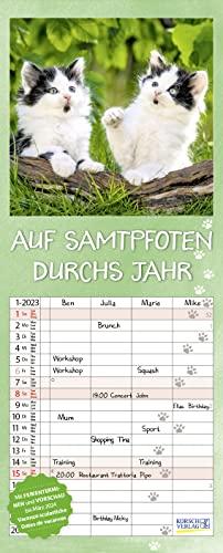 Auf Samtpfoten durch's Jahr 2023: Familienplaner mit 4 breiten Spalten. Hochwertiger Familienkalender mit Ferienterminen und Vorschau bis März 2024. 19 x 47 cm.