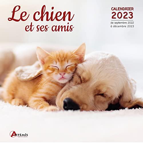 Le chien et ses amis : calendrier 2023 : de septembre 2022 à décembre 2023