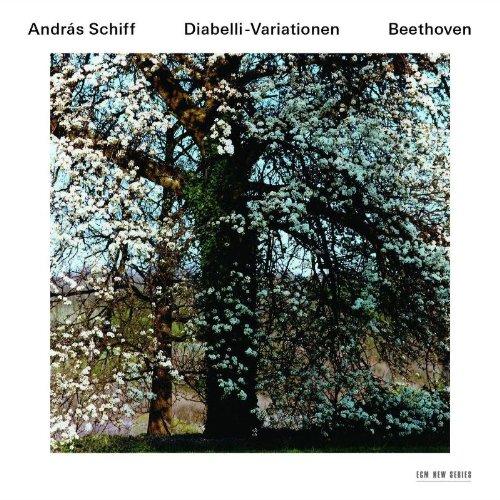 Diabelli-Variationen