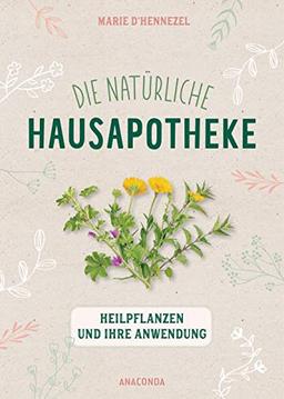 Die natürliche Hausapotheke: Heilpflanzen und ihre Anwendung