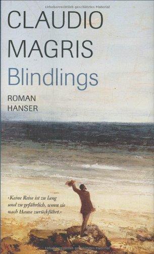 Blindlings: Roman