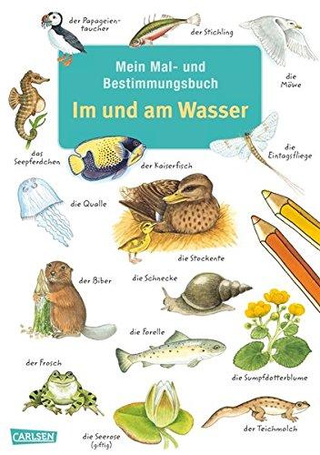 Mein Mal- und Bestimmungsbuch - Im und am Wasser