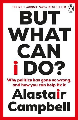 But What Can I Do?: Why Politics Has Gone So Wrong, and How You Can Help Fix It